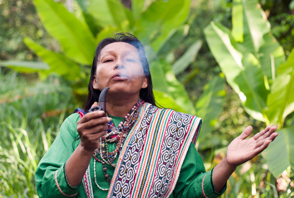 Ayahuasca shaman smokes tobacco.