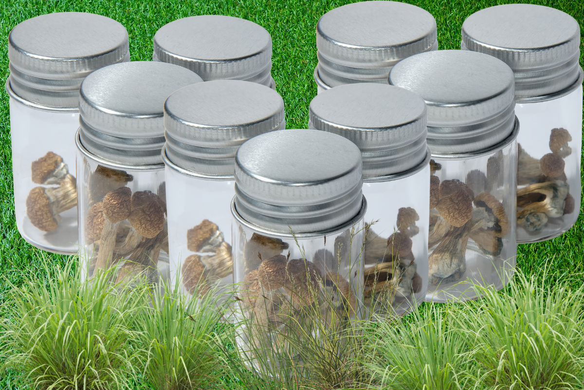 Large Airtight Mushroom Container, Plastic Vacuum Jars