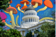 California Becomes The 5th City In California To Decriminalize Psychedelics