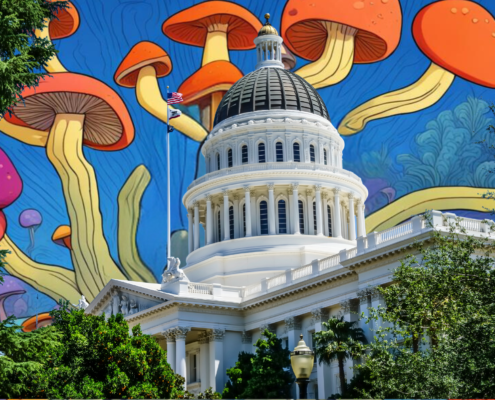 California Becomes The 5th City In California To Decriminalize Psychedelics