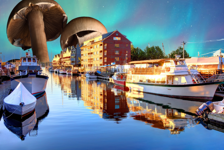 Portland Maine Votes to Decriminalize Psilocybin Mushrooms and Related Plant Medicines