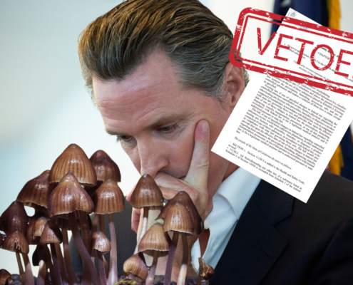 Here's Why California Governor Vetoed Psychedelic Decriminalization
