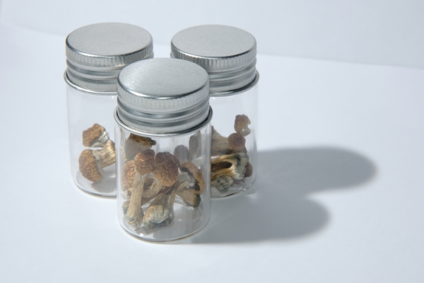 How to store magic mushrooms