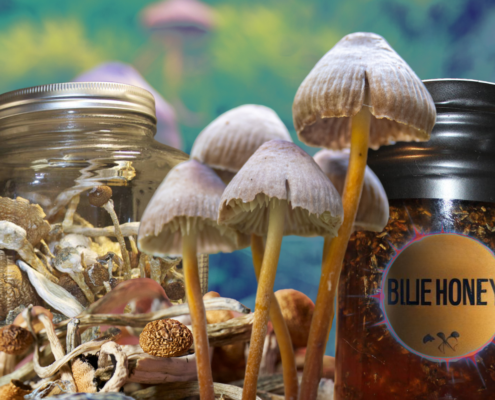 How to Make Blue Honey: Step-By-Step Guide