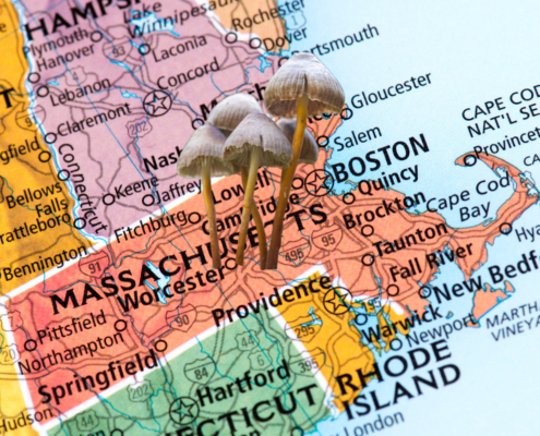 Massachusetts Governor Proposes Bill to Study Psychedelic Treatments for Vets, Advocates Call for Legalization