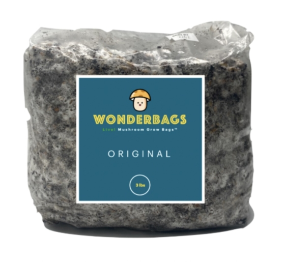 Wonderbags Mycology Research and Supplies - holiday gift guide idea -