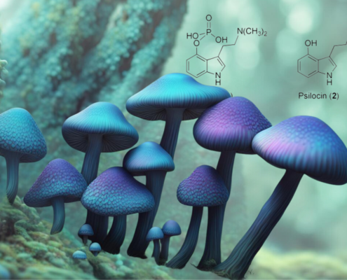 Why Do Magic Mushrooms Bruise Blue? Mystery Solved