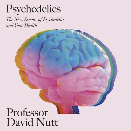 holiday gift guide idea - David Nutt's Psychedelics: The Revolutionary Drugs That Could Change Your Life – A Guide from the Expert 